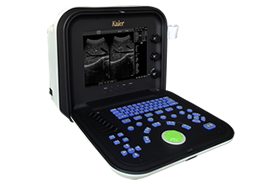 KR-1288Z液晶全數字黑白便攜